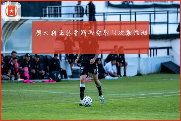 澳大利亚赫鲁斯蒂奇射门次数预测
