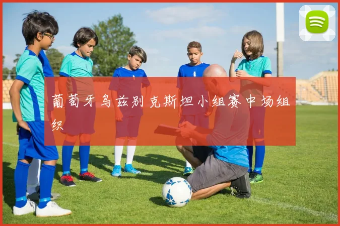葡萄牙乌兹别克斯坦小组赛中场组织