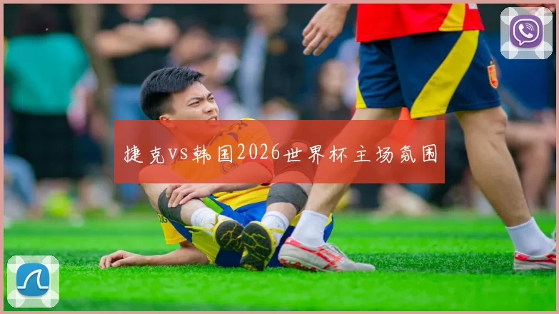 捷克vs韩国2026世界杯主场氛围