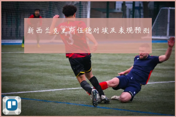 新西兰克里斯伍德对埃及表现预测