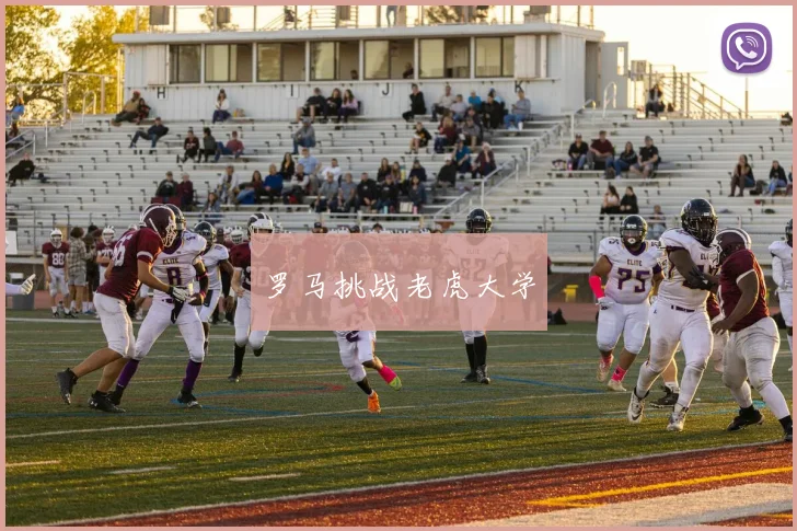 罗马挑战老虎大学 - 必赢官方app登录入口