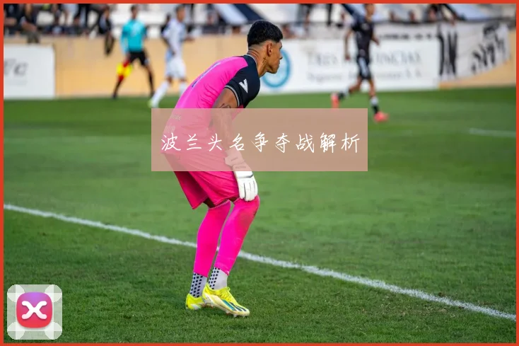 波兰头名争夺战解析 - 必赢官方app登录入口