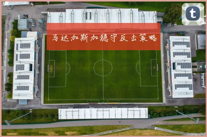 马达加斯加稳守反击策略 - 必赢官方app登录入口