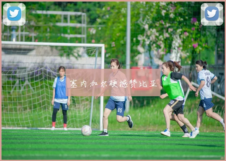 塞内加尔硬撼赞比亚 - 必赢官方app登录入口