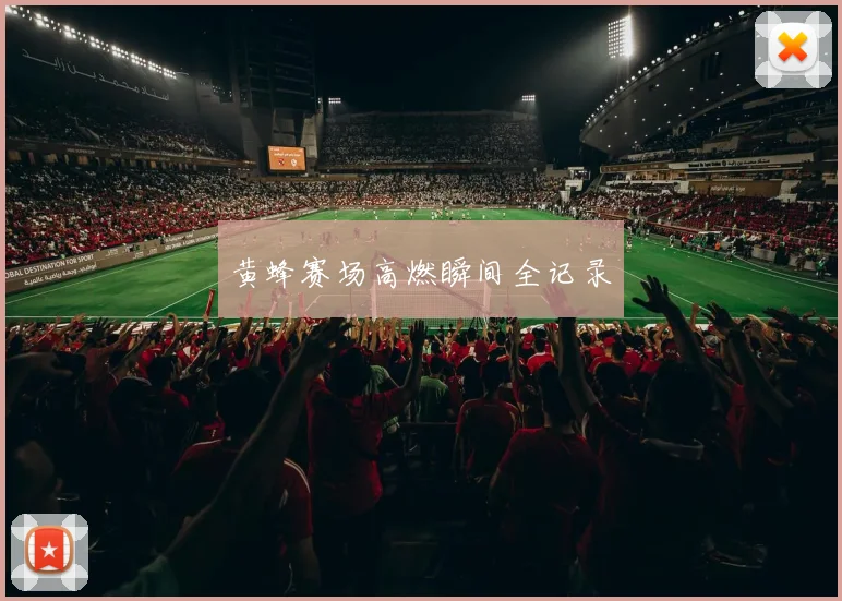 黄蜂赛场高燃瞬间全记录 - 必赢官方app登录入口