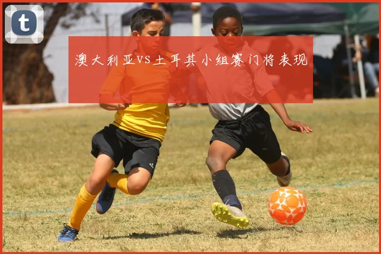 澳大利亚vs土耳其小组赛门将表现