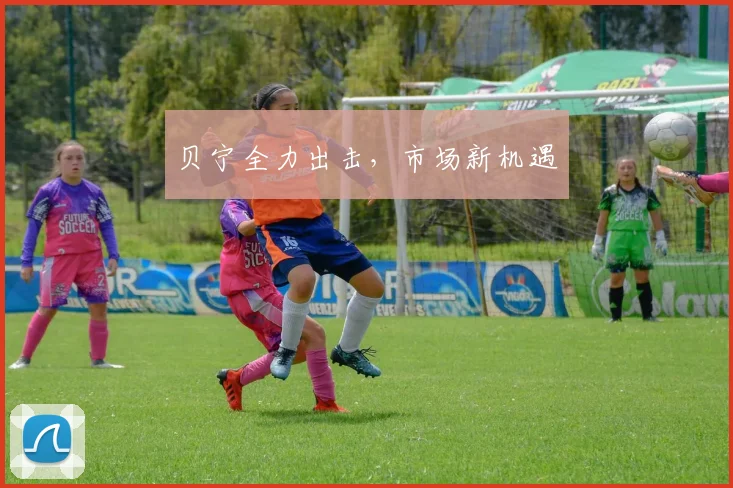 贝宁全力出击，市场新机遇 - 必赢官方app登录入口