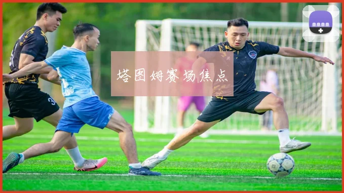 塔图姆赛场焦点 - 必赢官方app登录入口