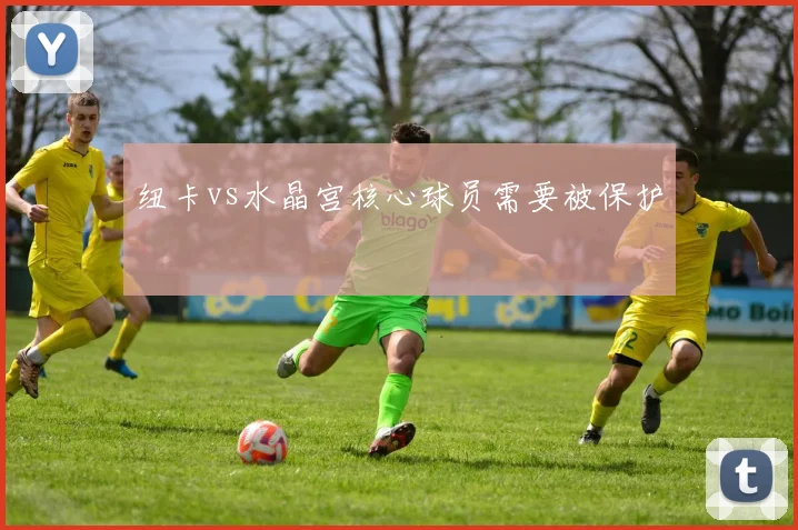 纽卡vs水晶宫核心球员需要被保护