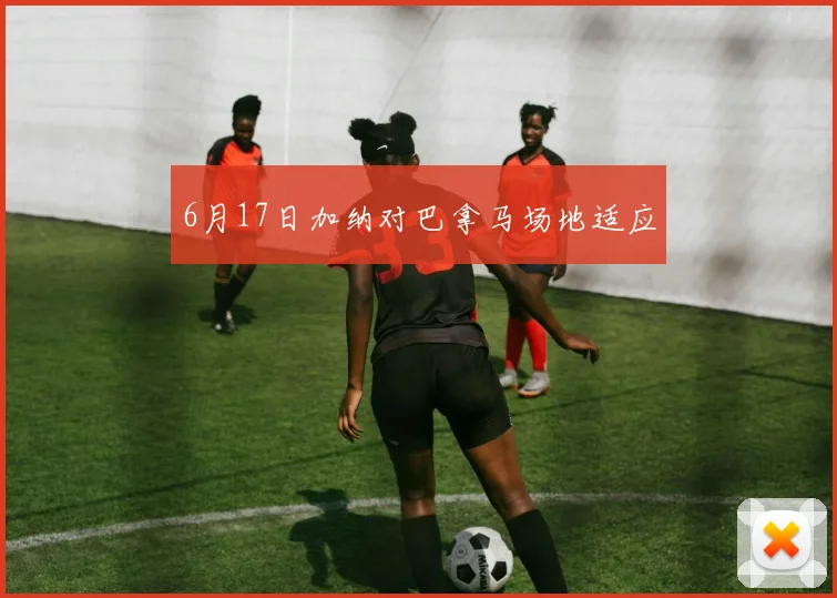 6月17日加纳对巴拿马场地适应
